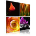 Canvas Print The essence of beauty 58691 additionalThumb 2