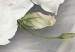 Canvas Print Secret of a Rose 91391 additionalThumb 4