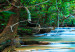 Canvas Kanchanaburi Waterfall (1-piece) - Blue Water in Green Forest 106202 additionalThumb 5
