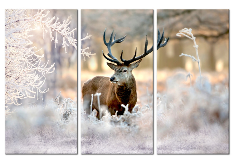 Canvas Print Deer in the Cold I 106802