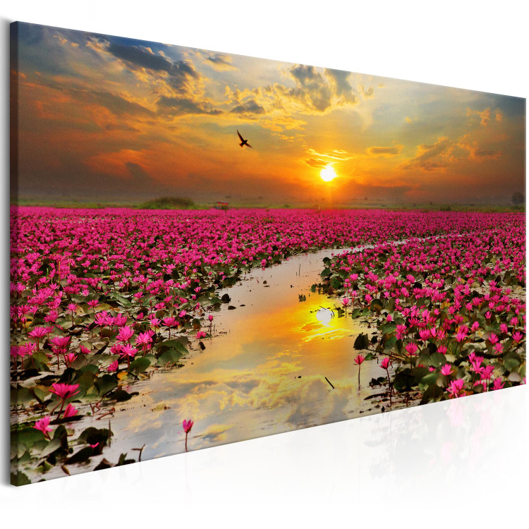 Canvas Art Print Lily Field (1 Part) Narrow 107302 additionalImage 2