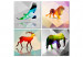Canvas Print Colourful Animals (4 Parts) 108202