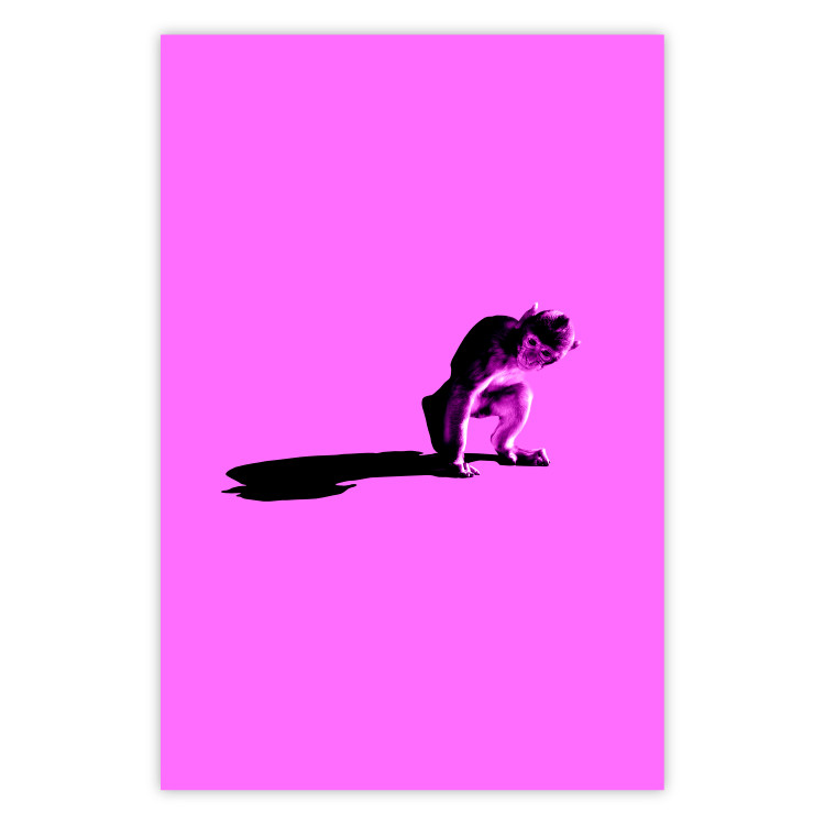 Wall Poster Little Monkey - looking down animal on a pink background 115202