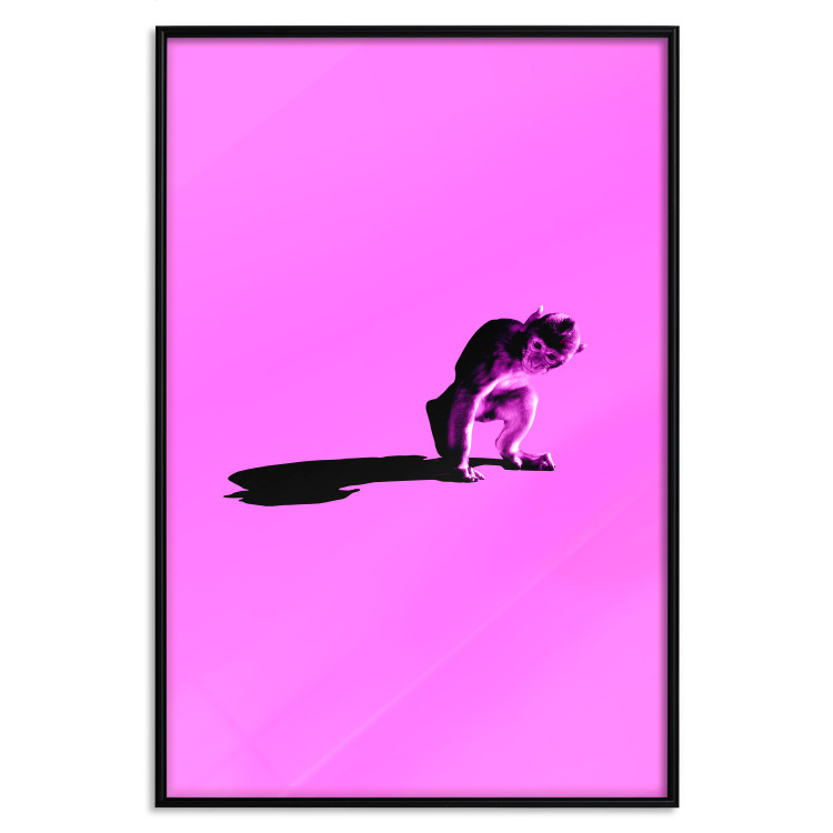 Wall Poster Little Monkey - looking down animal on a pink background 115202 additionalImage 18