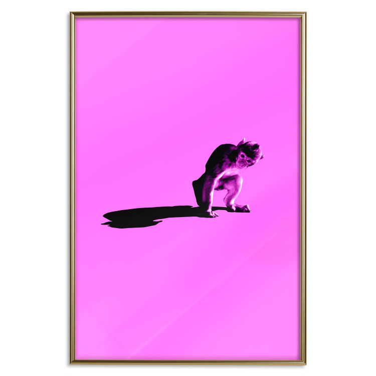 Wall Poster Little Monkey - looking down animal on a pink background 115202 additionalImage 16