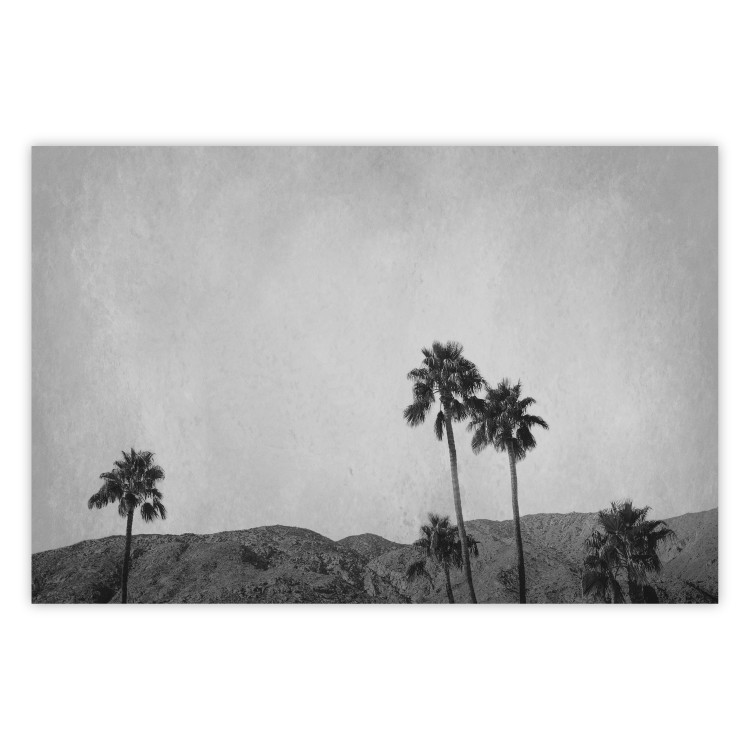 Wall Poster Hot Summer - black and white landscape with palm trees against a mountain range 116502