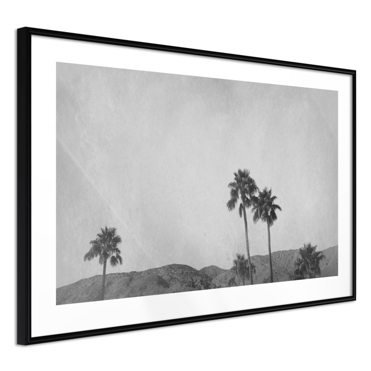 Wall Poster Hot Summer - black and white landscape with palm trees against a mountain range 116502 additionalImage 13