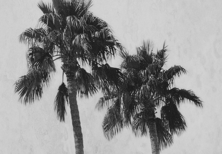 Wall Poster Hot Summer - black and white landscape with palm trees against a mountain range 116502 additionalImage 9