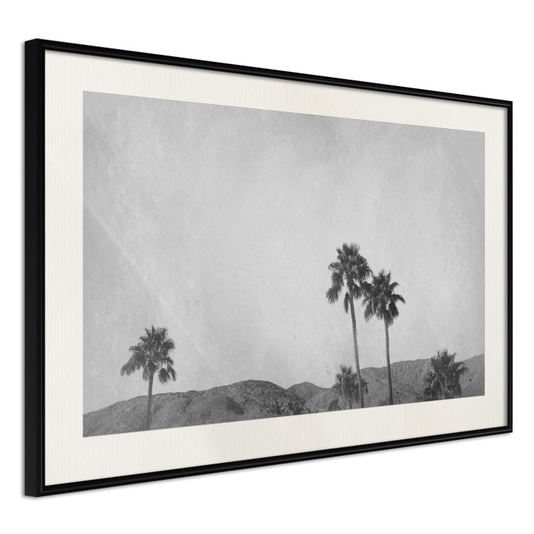 Wall Poster Hot Summer - black and white landscape with palm trees against a mountain range 116502 additionalImage 3