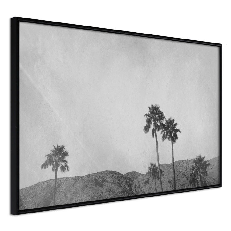 Wall Poster Hot Summer - black and white landscape with palm trees against a mountain range 116502 additionalImage 12