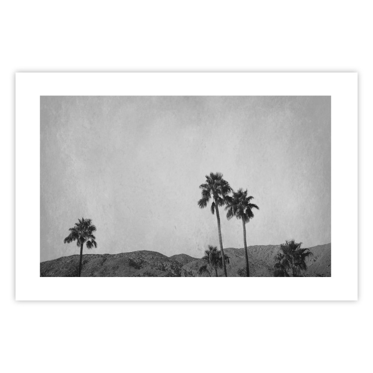 Wall Poster Hot Summer - black and white landscape with palm trees against a mountain range 116502 additionalImage 19