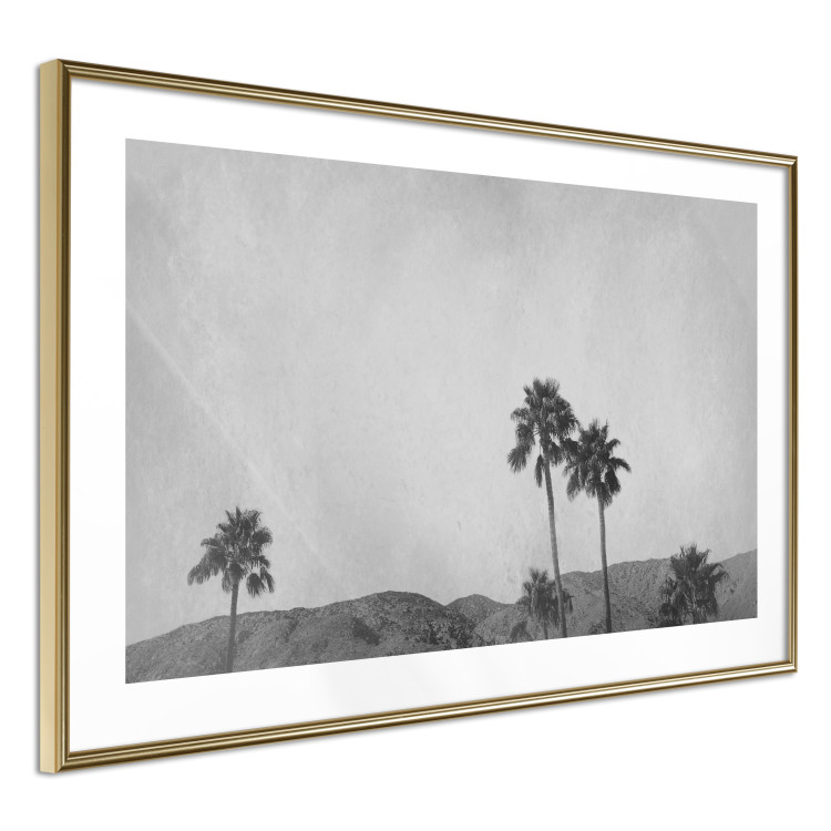 Wall Poster Hot Summer - black and white landscape with palm trees against a mountain range 116502 additionalImage 8