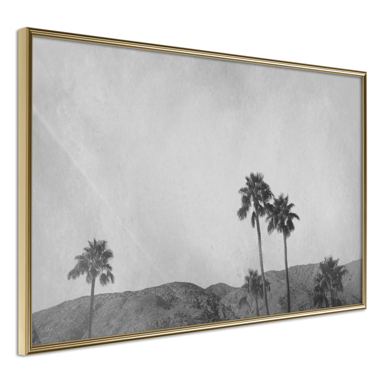 Wall Poster Hot Summer - black and white landscape with palm trees against a mountain range 116502 additionalImage 12