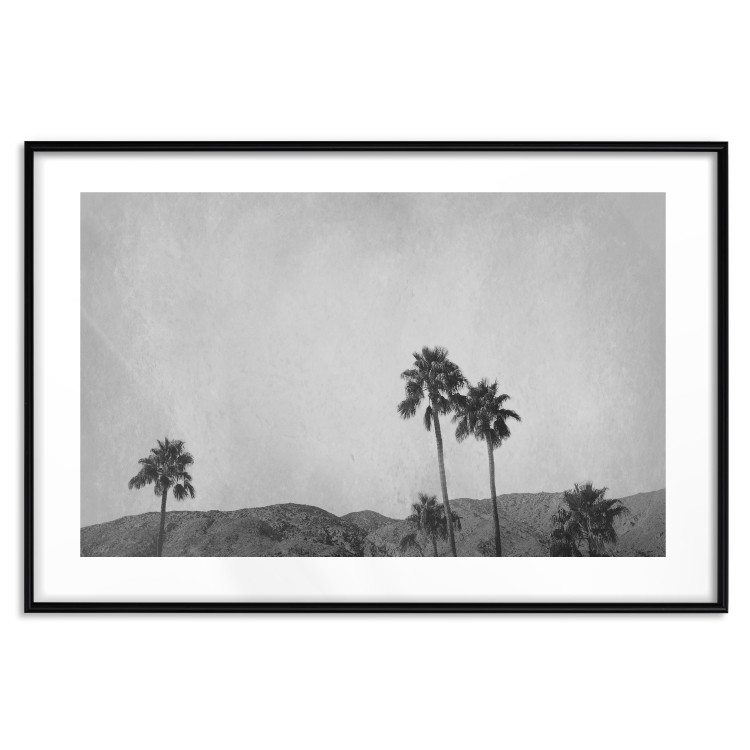 Wall Poster Hot Summer - black and white landscape with palm trees against a mountain range 116502 additionalImage 17