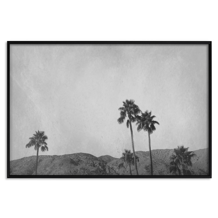 Wall Poster Hot Summer - black and white landscape with palm trees against a mountain range 116502 additionalImage 24