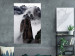 Wall Poster Rocks in the Clouds - Scandinavian landscape with mountains in fog 118502 additionalThumb 17