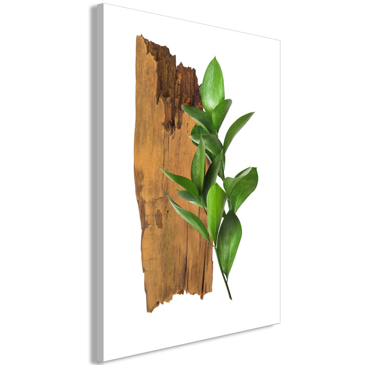 Canvas Art Print Plant zodiac: Sagittarius - minimalist, botanical composition 122602 additionalImage 2