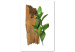 Canvas Art Print Plant zodiac: Sagittarius - minimalist, botanical composition 122602