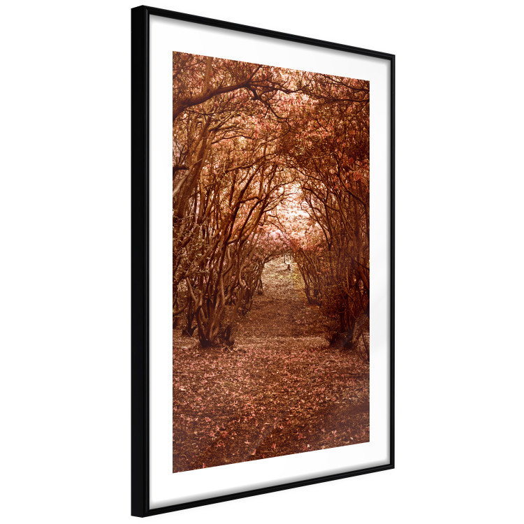 Poster Fulfilled Dreams - autumn forest landscape with falling leaves 123902 additionalImage 11