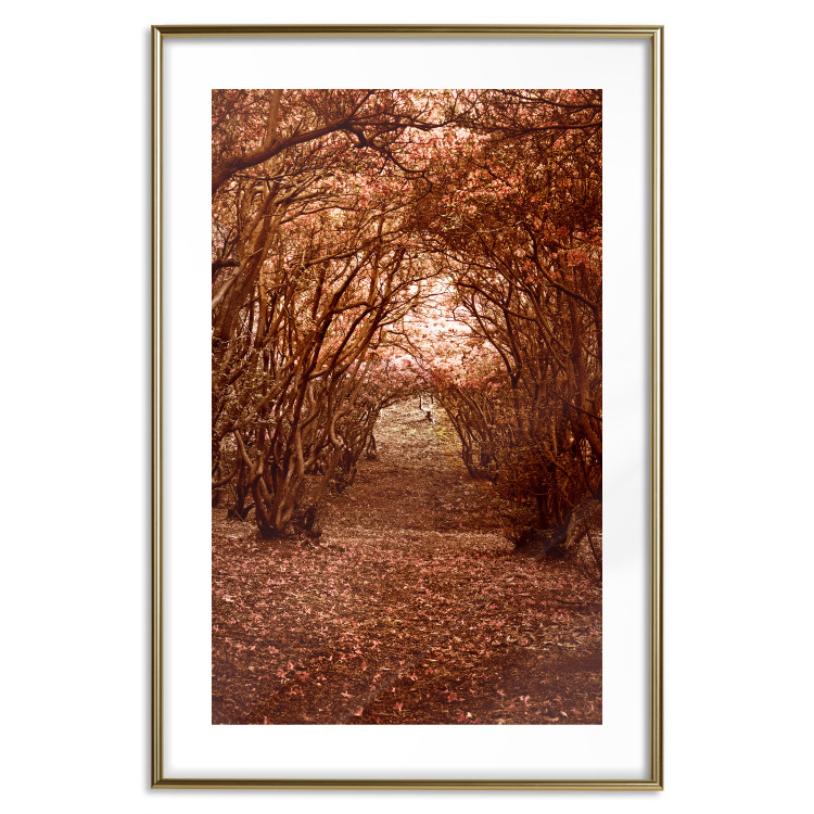 Poster Fulfilled Dreams - autumn forest landscape with falling leaves 123902 additionalImage 14