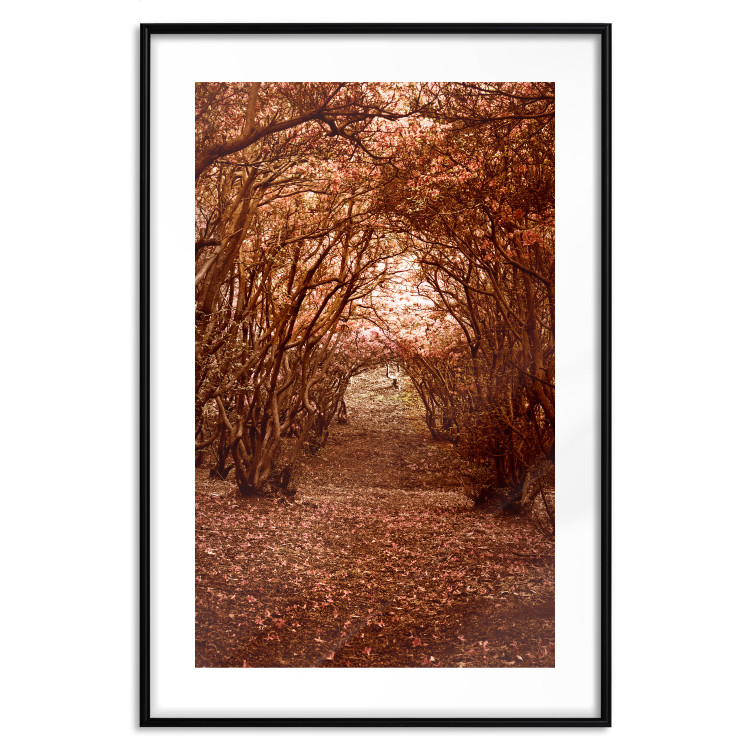 Poster Fulfilled Dreams - autumn forest landscape with falling leaves 123902 additionalImage 15