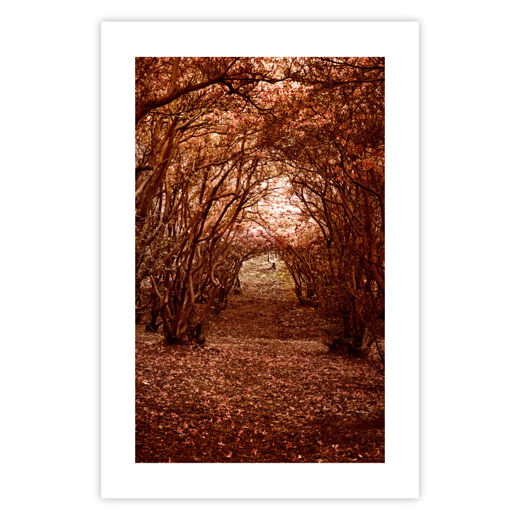 Poster Fulfilled Dreams - autumn forest landscape with falling leaves 123902 additionalImage 19