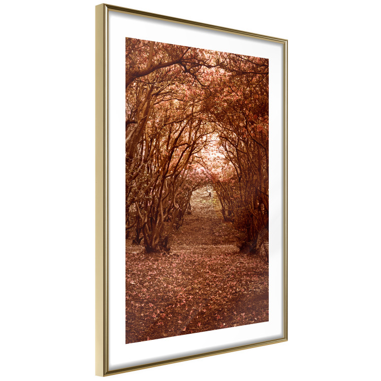 Poster Fulfilled Dreams - autumn forest landscape with falling leaves 123902 additionalImage 6