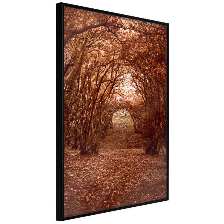 Poster Fulfilled Dreams - autumn forest landscape with falling leaves 123902 additionalImage 10