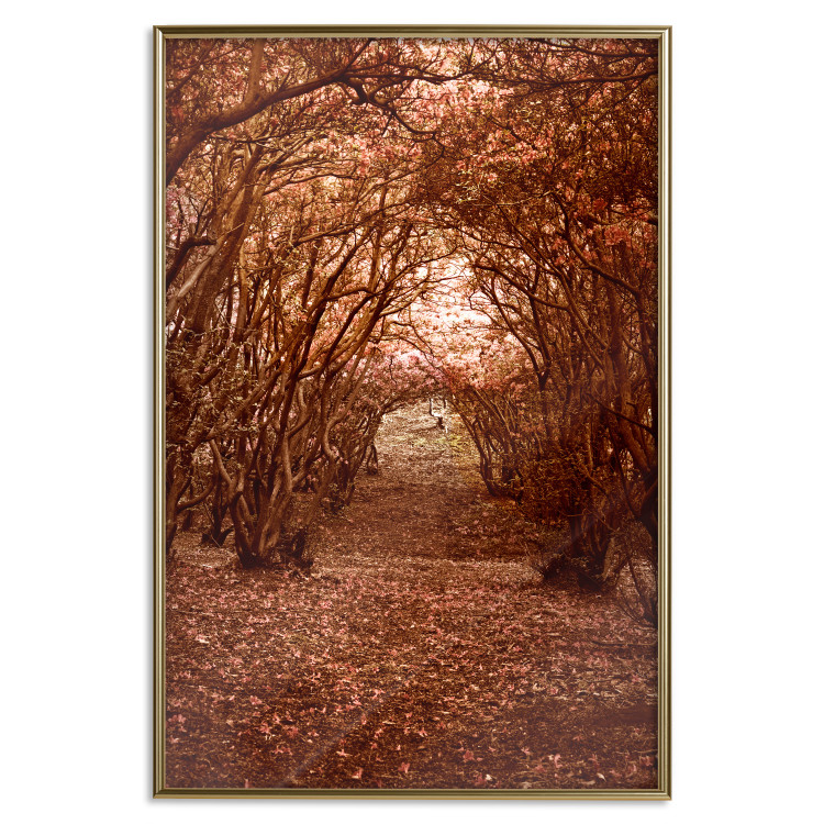 Poster Fulfilled Dreams - autumn forest landscape with falling leaves 123902 additionalImage 16