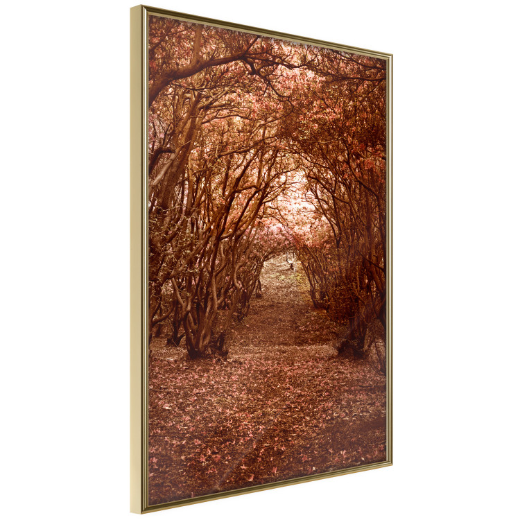 Poster Fulfilled Dreams - autumn forest landscape with falling leaves 123902 additionalImage 12