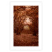 Poster Fulfilled Dreams - autumn forest landscape with falling leaves 123902 additionalThumb 19