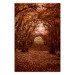 Poster Fulfilled Dreams - autumn forest landscape with falling leaves 123902