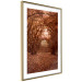 Poster Fulfilled Dreams - autumn forest landscape with falling leaves 123902 additionalThumb 6