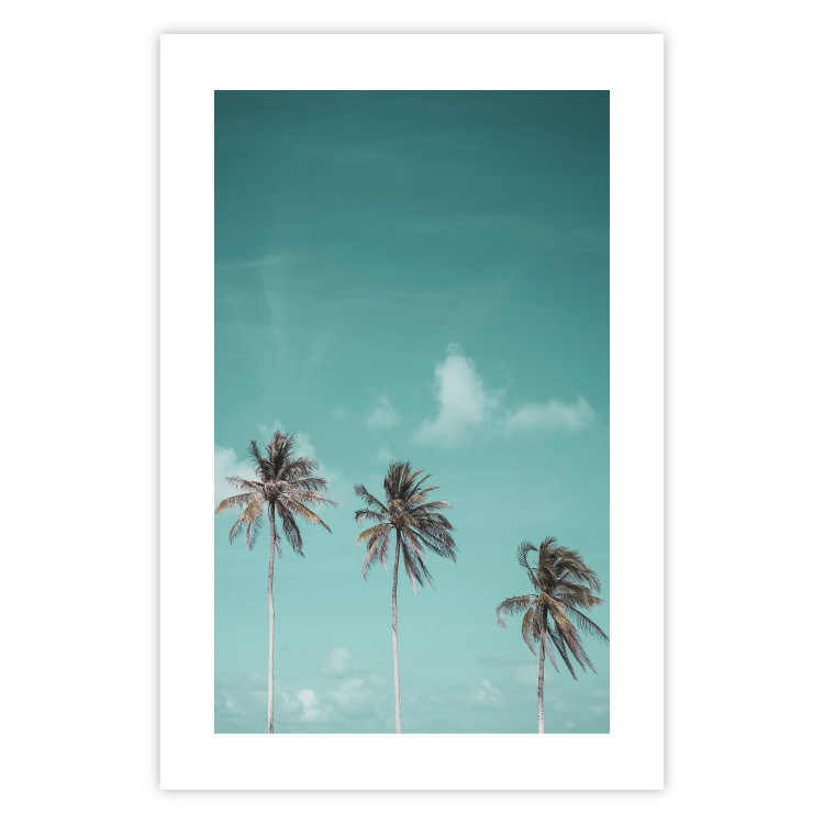 Poster On Freedom - tropical landscape of three palms against clear sky 135302 additionalImage 13