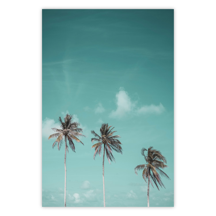 Poster On Freedom - tropical landscape of three palms against clear sky 135302