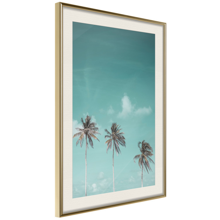Poster On Freedom - tropical landscape of three palms against clear sky 135302 additionalImage 8