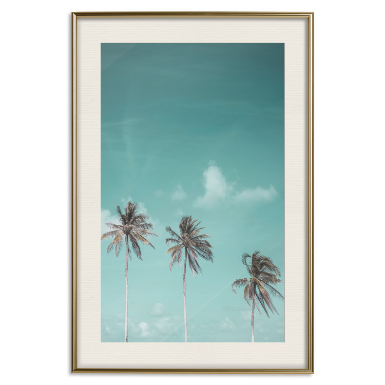 Poster On Freedom - tropical landscape of three palms against clear sky 135302 additionalImage 18