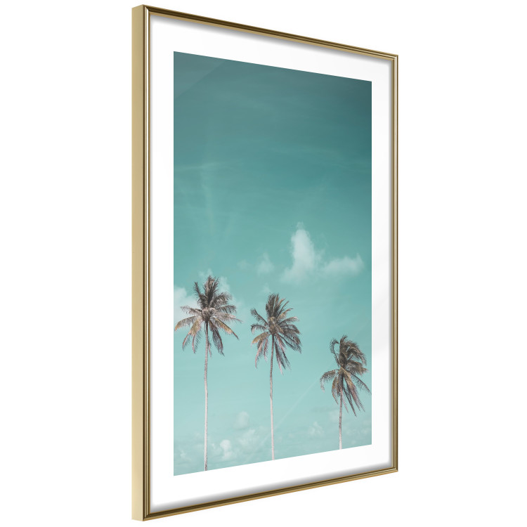 Poster On Freedom - tropical landscape of three palms against clear sky 135302 additionalImage 4