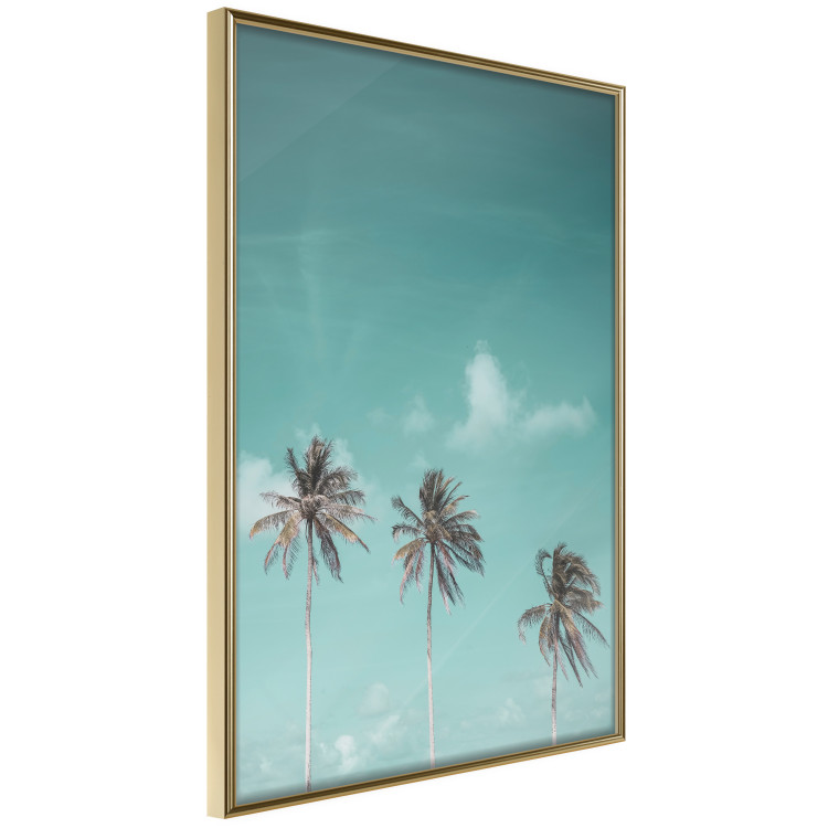 Poster On Freedom - tropical landscape of three palms against clear sky 135302 additionalImage 2