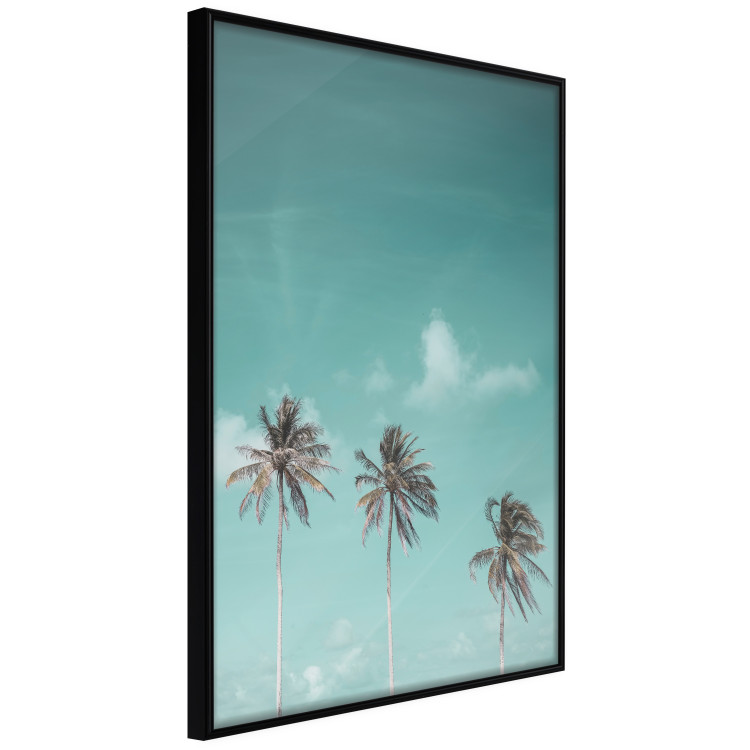 Poster On Freedom - tropical landscape of three palms against clear sky 135302 additionalImage 3