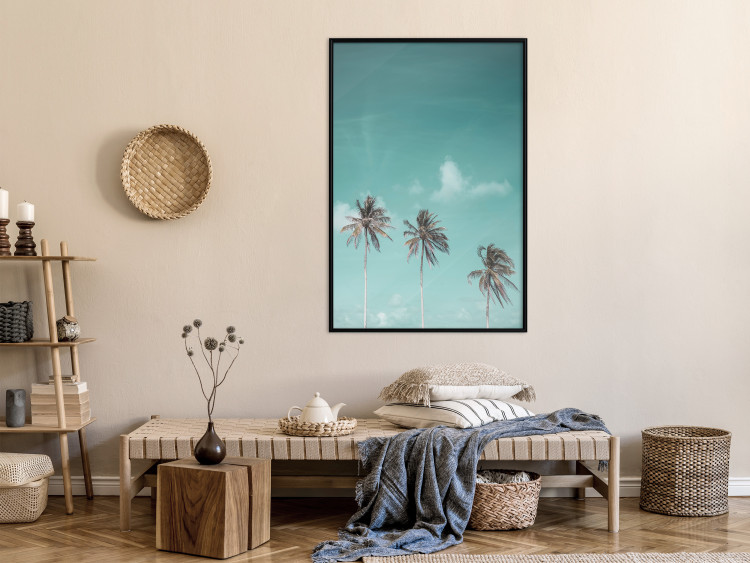 Poster On Freedom - tropical landscape of three palms against clear sky 135302 additionalImage 15