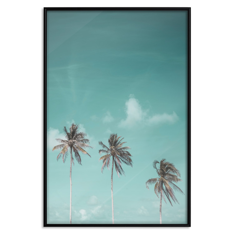 Poster On Freedom - tropical landscape of three palms against clear sky 135302 additionalImage 10