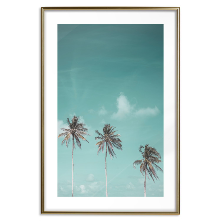 Poster On Freedom - tropical landscape of three palms against clear sky 135302 additionalImage 16