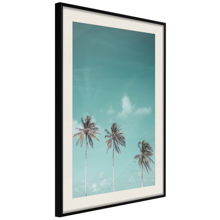 Poster On Freedom - tropical landscape of three palms against clear sky 135302 additionalImage 10