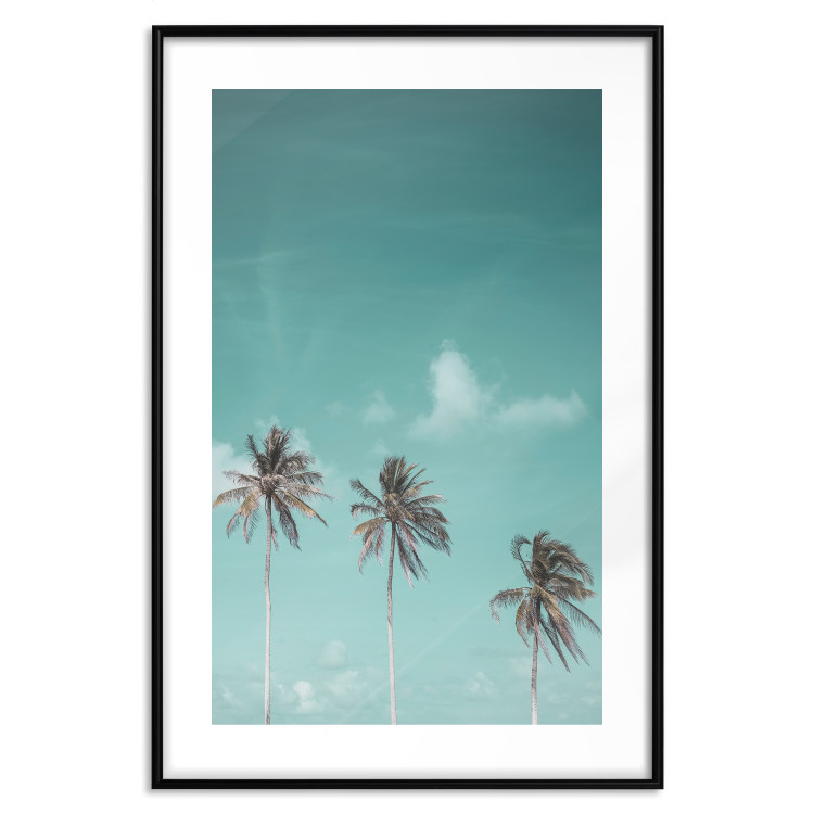 Poster On Freedom - tropical landscape of three palms against clear sky 135302 additionalImage 14
