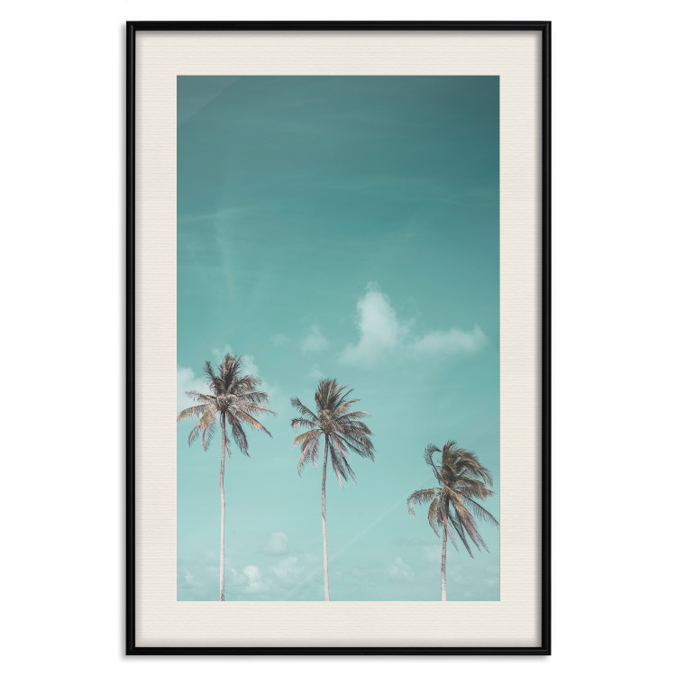 Poster On Freedom - tropical landscape of three palms against clear sky 135302 additionalImage 17