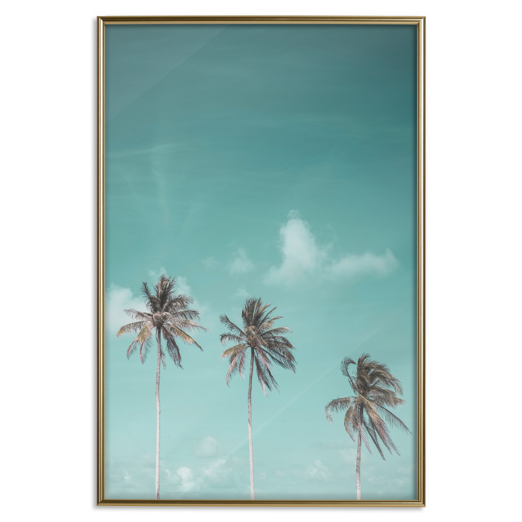 Poster On Freedom - tropical landscape of three palms against clear sky 135302 additionalImage 11