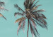 Poster On Freedom - tropical landscape of three palms against clear sky 135302 additionalThumb 6