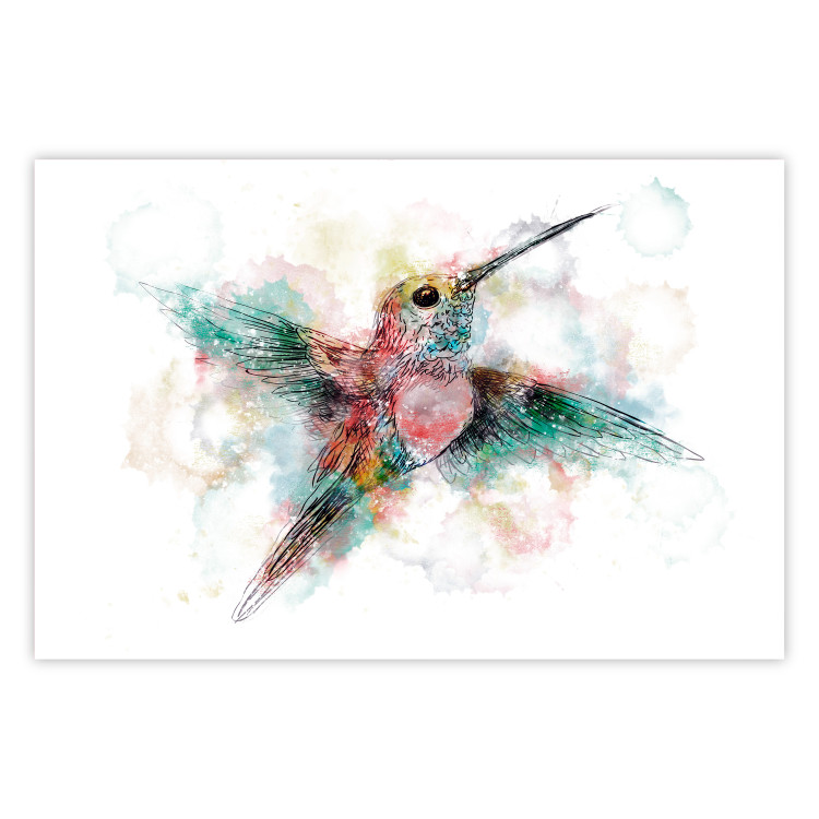 Wall Poster Colorful Hummingbird [Poster] 143502