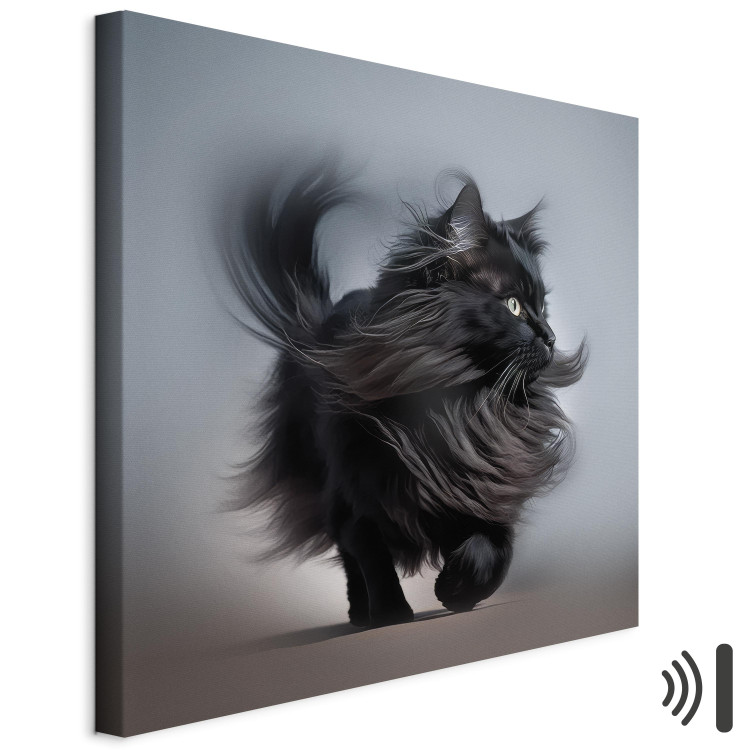 Canvas Print AI Maine Coon Cat - Walking Animal With Long Black Hair - Square 150202 additionalImage 8